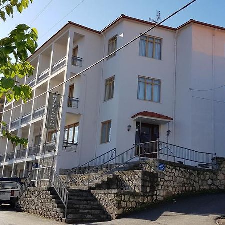 Parnon Hotel Agios Petros  Eksteriør bilde